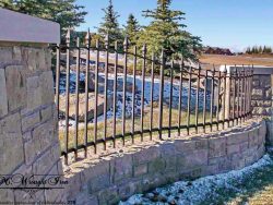 decorative wrought iron fencing
