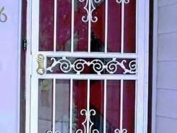 security-storm-door-with-castings calgary