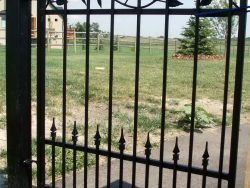 decorative wrought iron gates