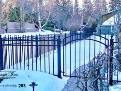 decorative wrought iron fencing